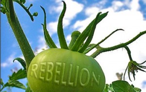 rebellion